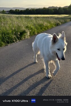 IMG_20250506_194835.jpg