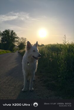 IMG_20250506_194439.jpg