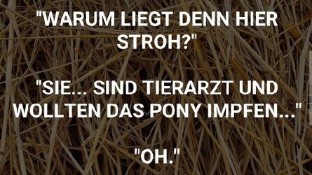 stroh-tierarzt.jpg