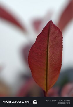 IMG_20250507_062043.jpg
