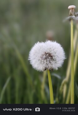 IMG_20250507_053539.jpg
