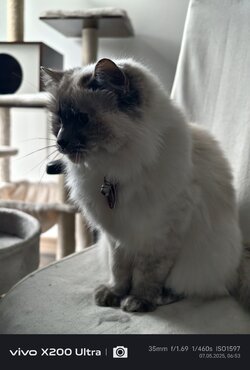 IMG_20250507_065337.jpg