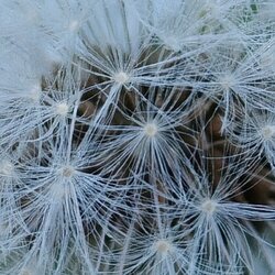 IMG_9663.jpeg