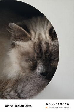 IMG20250507124203.jpg
