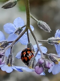 IMG20250507161941~2.jpg