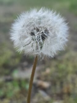 20250428_192028.jpg