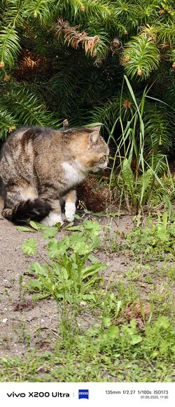 IMG_20250507_173035.jpg
