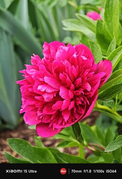 IMG_20250507_180504.jpg