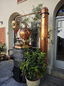IMG_20250430_084151.jpg