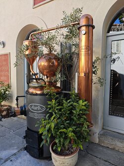 IMG_20250430_084154.jpg