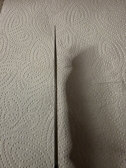 20250507_192002.jpg
