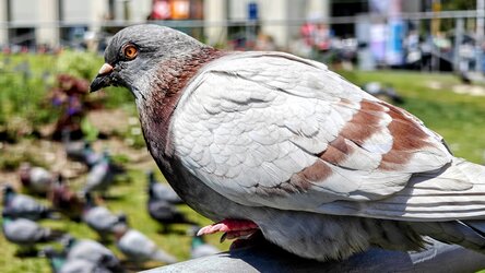 IMG20250507134141~2.jpg