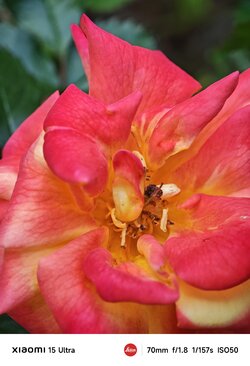 IMG_20250507_162335.jpg