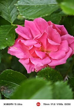 IMG_20250507_162322.jpg
