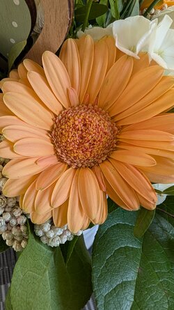PXL_20250508_082734366.jpg
