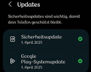 Screenshot_20250508_131503_Settings.jpg