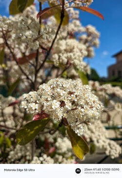 Gcam20250506_144158113.jpg