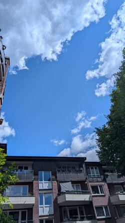 PXL_20250508_120257011.jpg