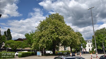 IMG_20250508_141216_024019.jpg