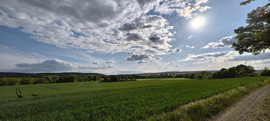 IMG_20250508_181002.jpg
