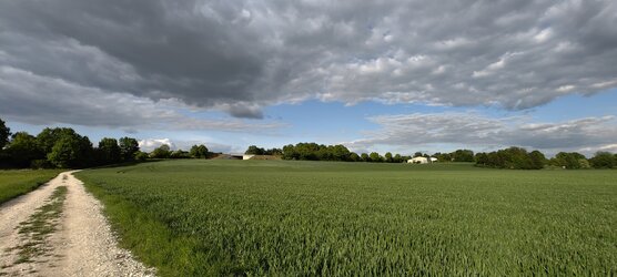 IMG_20250508_181459.jpg