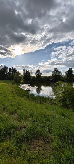 IMG_20250508_181903.jpg