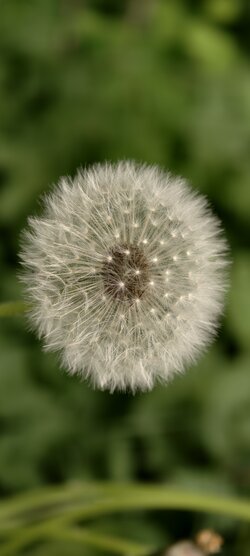 IMG_20250508_182440.jpg