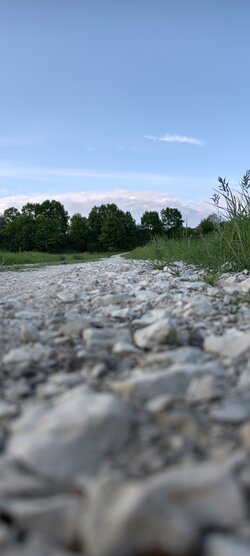 IMG_20250508_184639.jpg