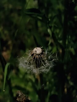 IMG20250508223043~2.jpg