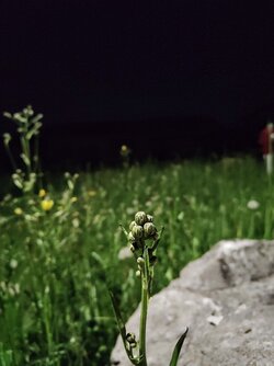 IMG20250508225443~2.jpg