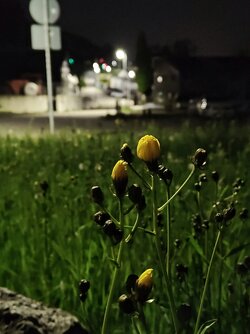 IMG20250508223904~2.jpg