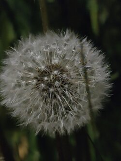 IMG20250508222829~2.jpg