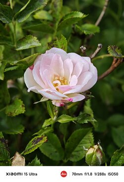 IMG_20250508_184230.jpg