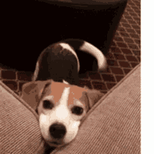 .animated_1746781391476.gif