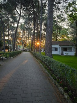 IMG_20250428_062335-HDR_P3.jpg
