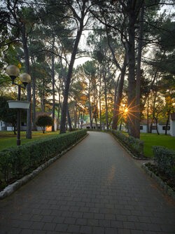 IMG_20250428_062359-HDR_P3.jpg