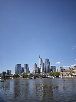 IMG_20250509_135211.jpg