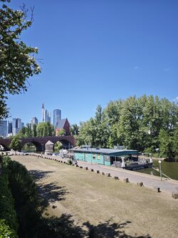 IMG_20250509_134226.jpg