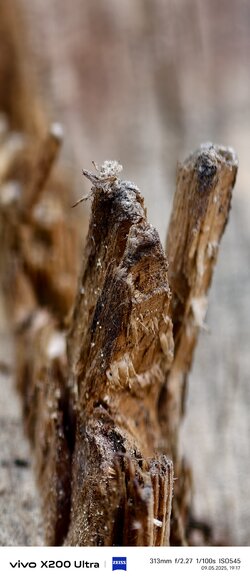 IMG_20250509_191753.jpg
