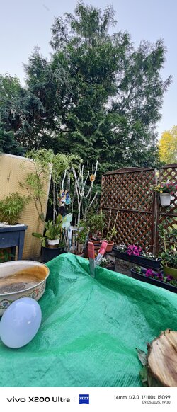IMG_20250509_193059.jpg