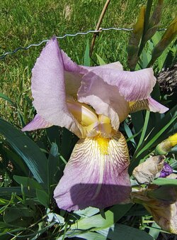 IMG_20250509_143440286_HDR.jpg