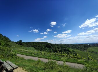 IMG_20250509_153254659_HDR.jpg