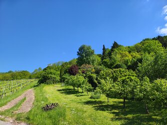 IMG_20250509_155907032_HDR.jpg