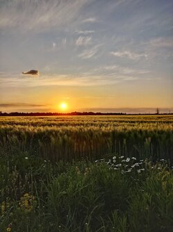 20250507_203638 (1) (1).JPG