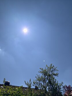 IMG_20250510_102259.jpg
