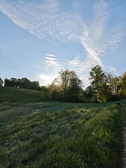 MVIMG_20250510_063901.jpg