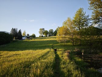 IMG_20250509_195422.jpg
