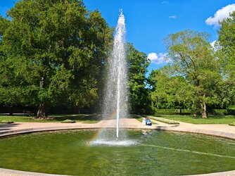IMG_20250509_173650.jpg