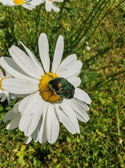 IMG_20250510_140558.jpg