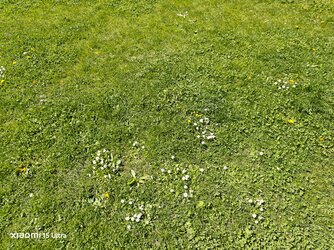 IMG_20250510_120746.jpg